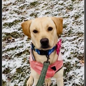 Meet your Posher, Sarah